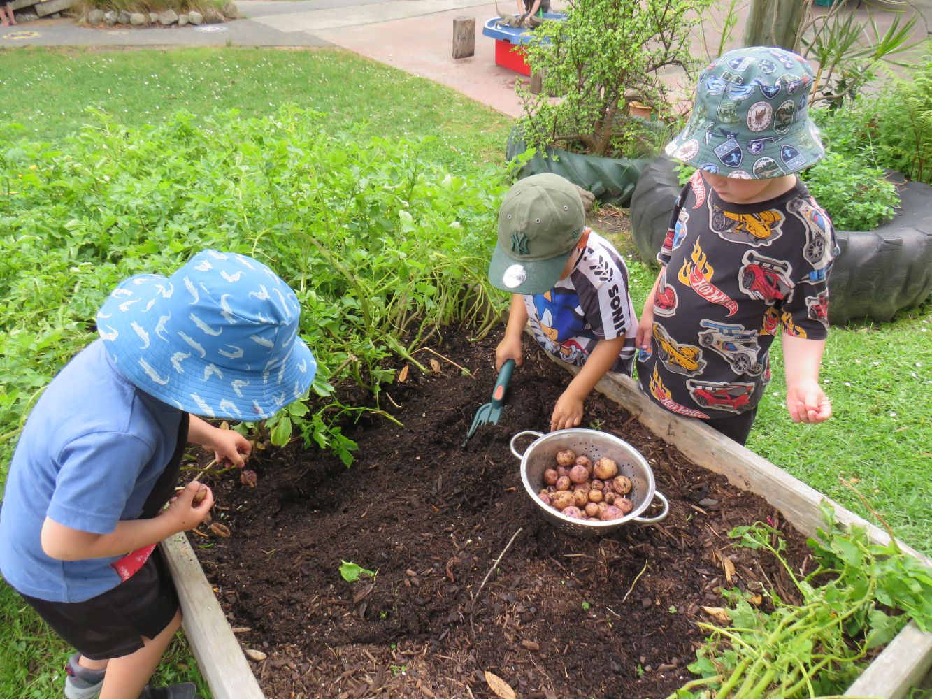 Parihaka Kindergarten