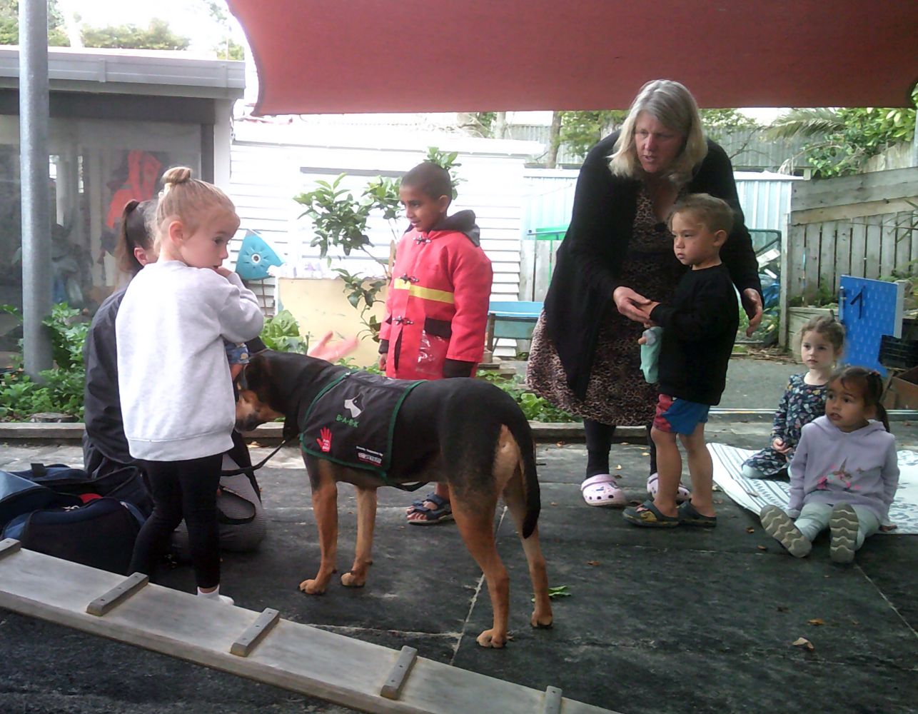 Dargaville Kindergarten