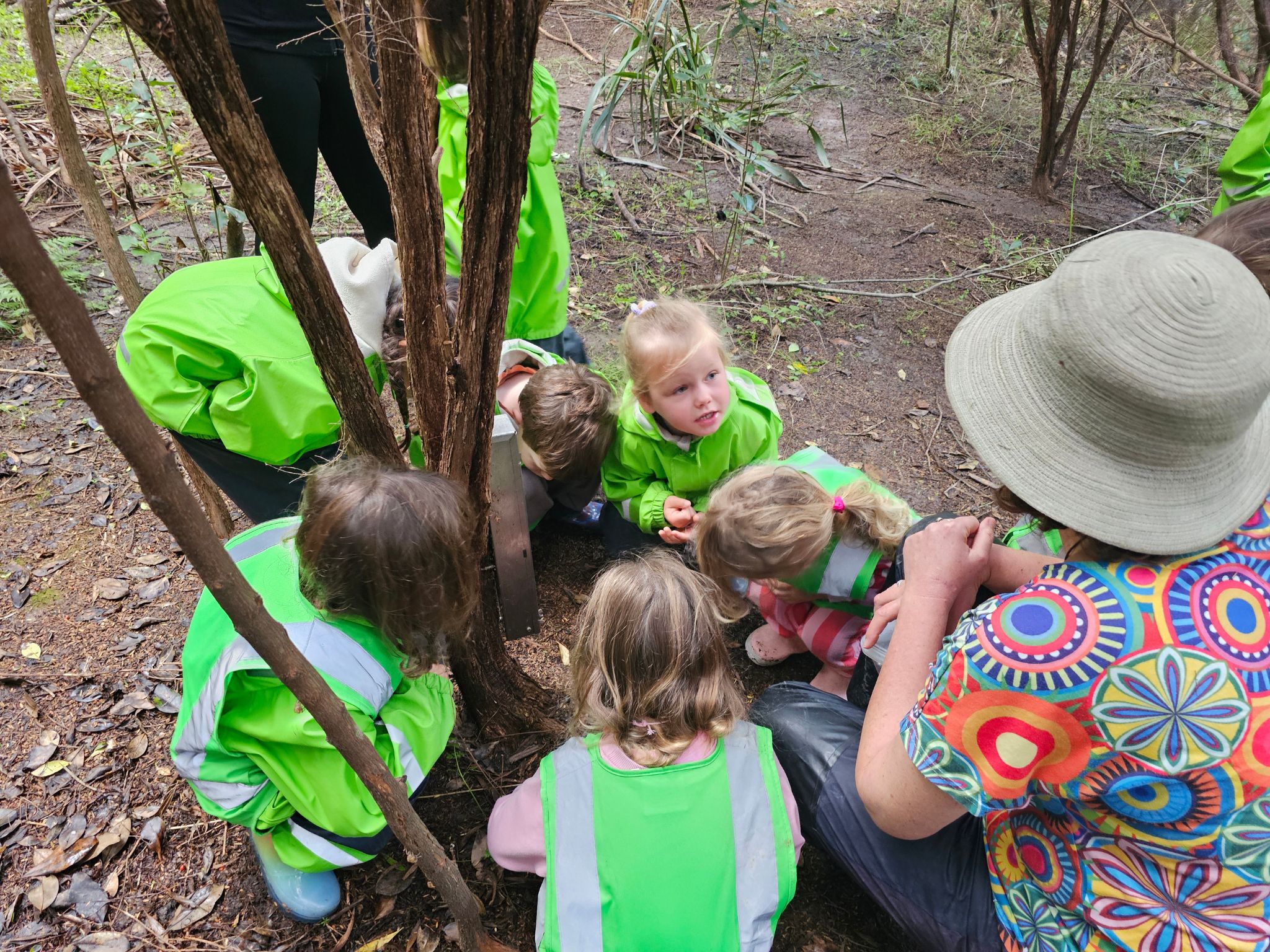 Manaia Kindergarten