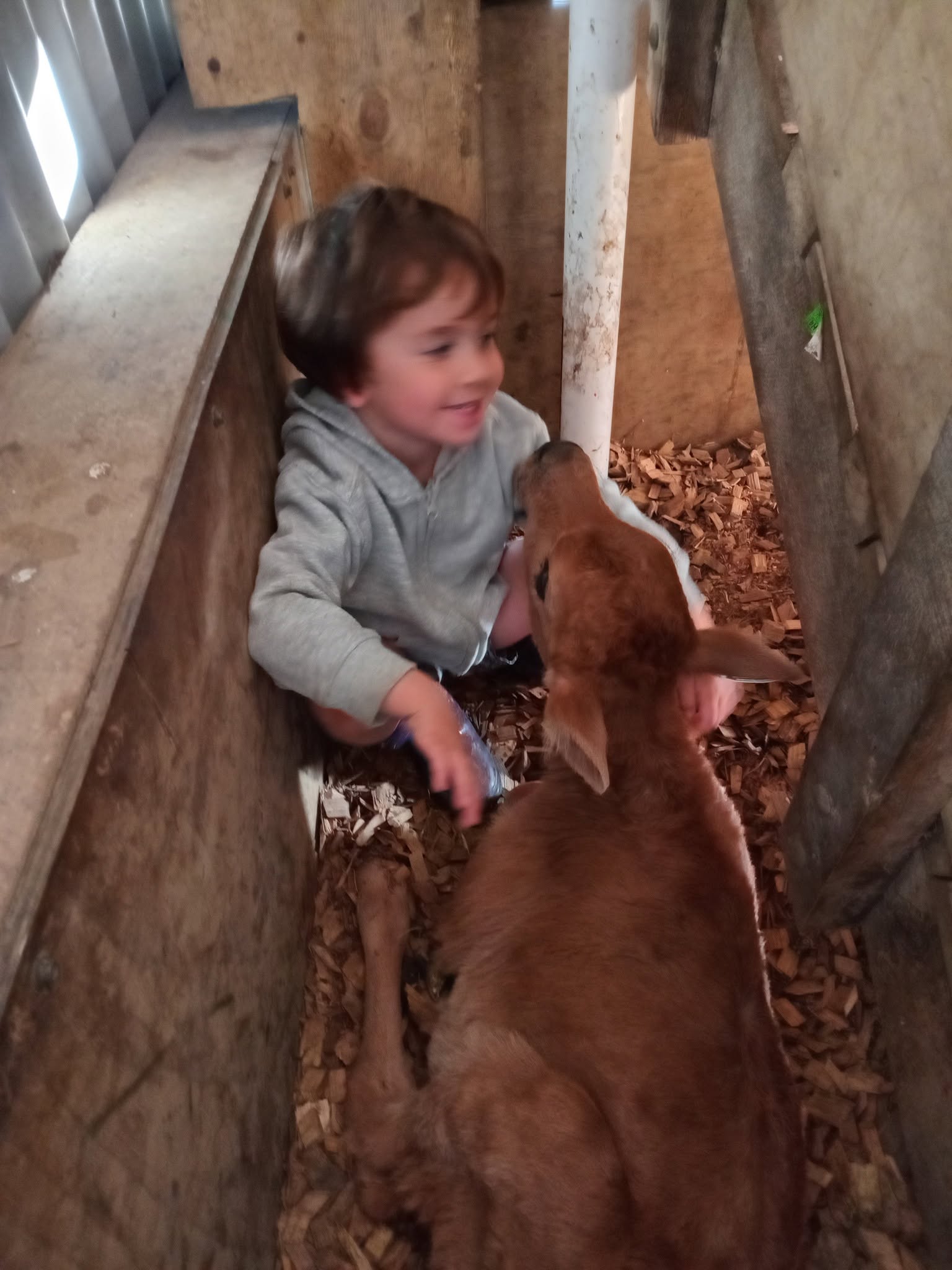 Boots On, Hearts Full: A Morning at Our Whānau Farm