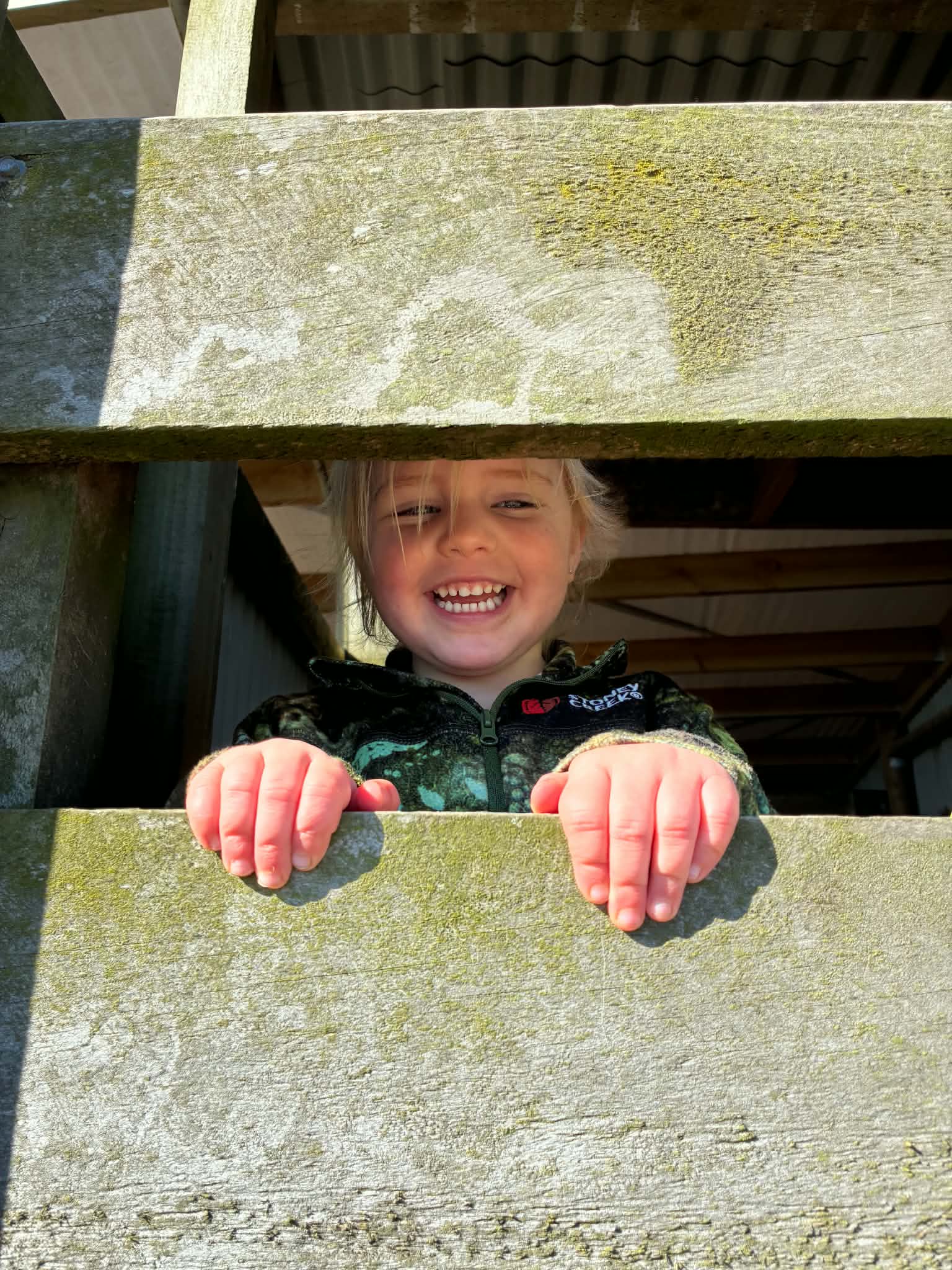 Boots On, Hearts Full: A Morning at Our Whānau Farm