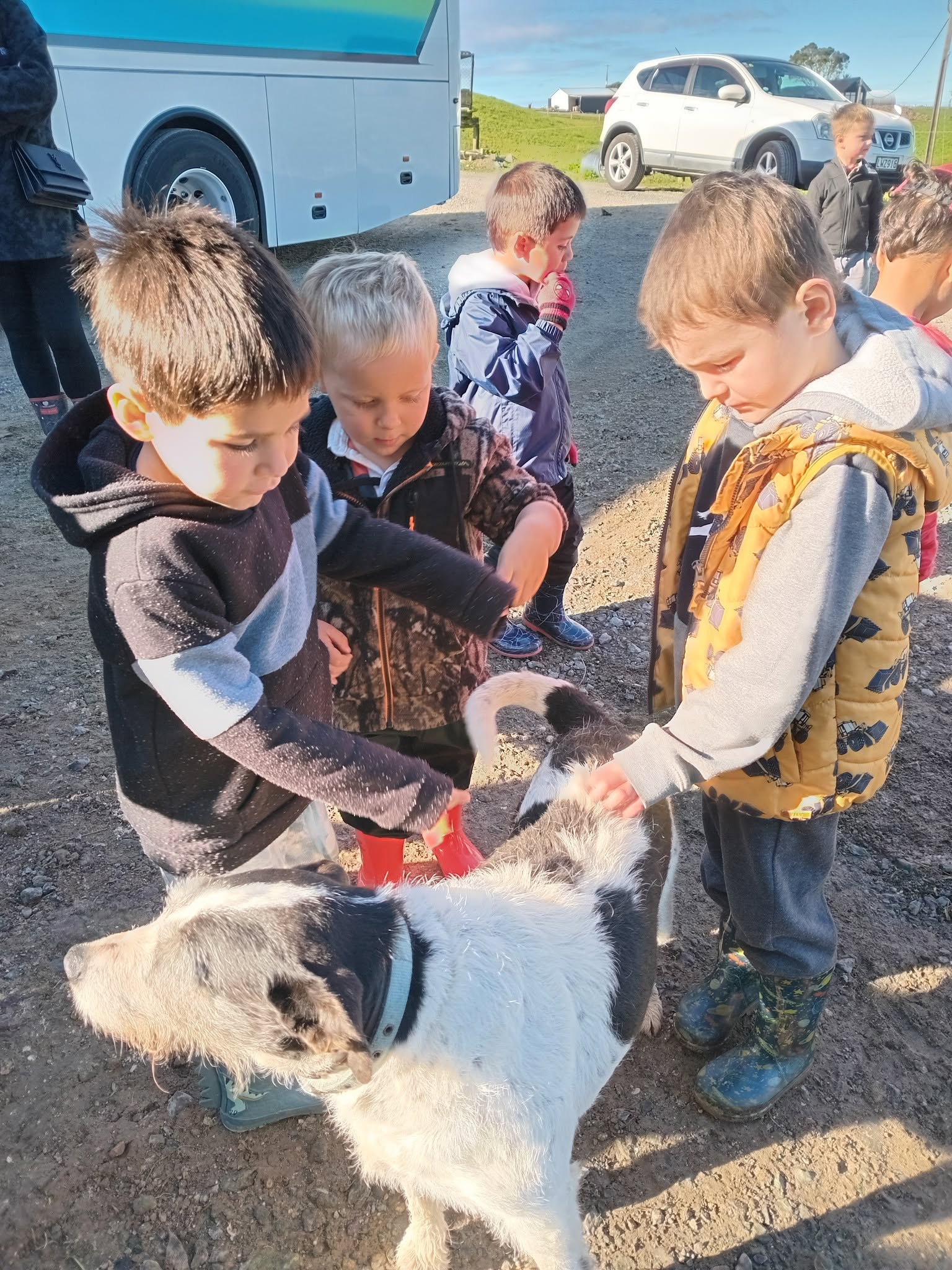 Boots On, Hearts Full: A Morning at Our Whānau Farm