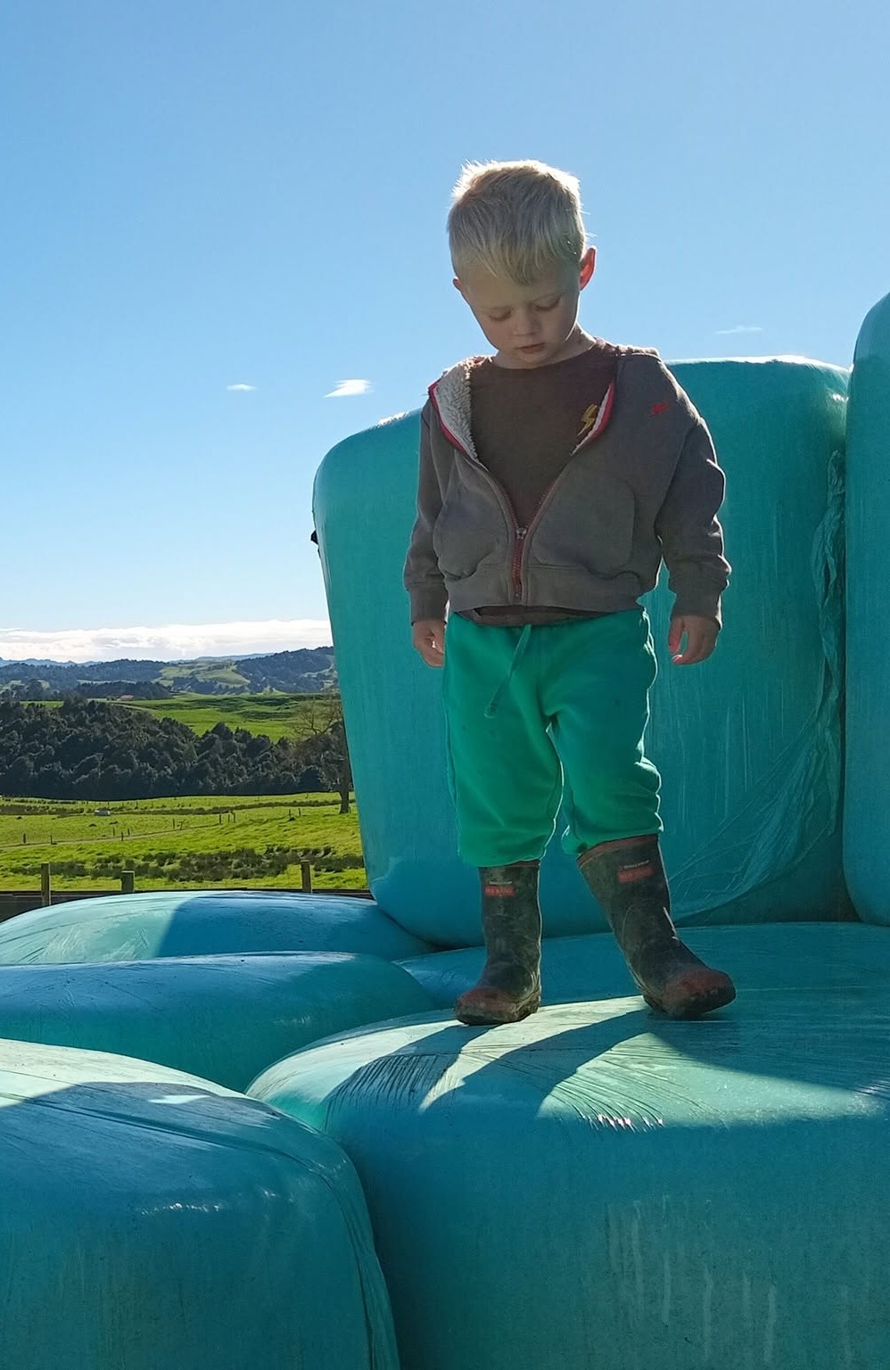 Boots On, Hearts Full: A Morning at Our Whānau Farm