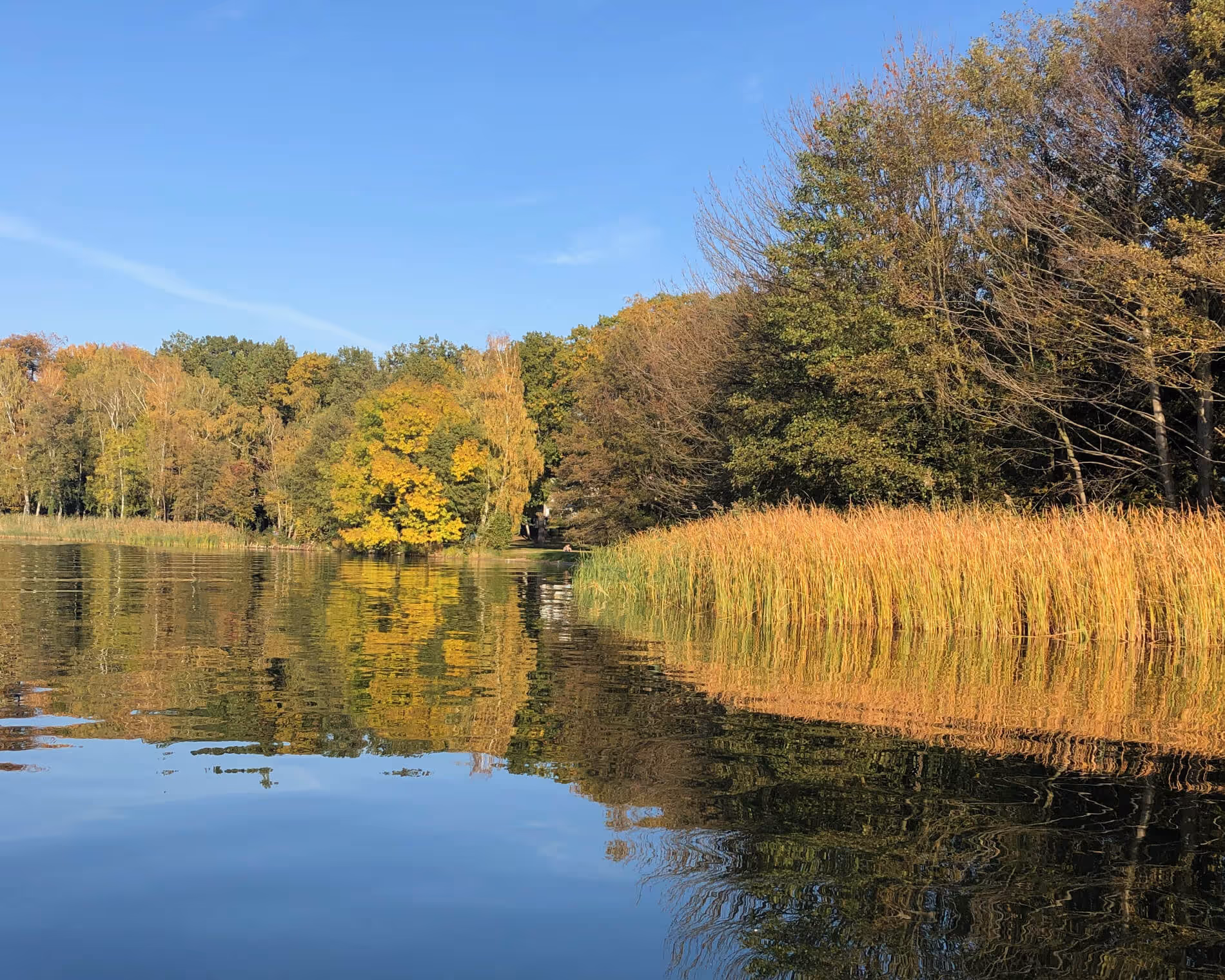 Am Westufer des Scharmützelsees an einem strahlend schönen Tag im Goldenen Herbst