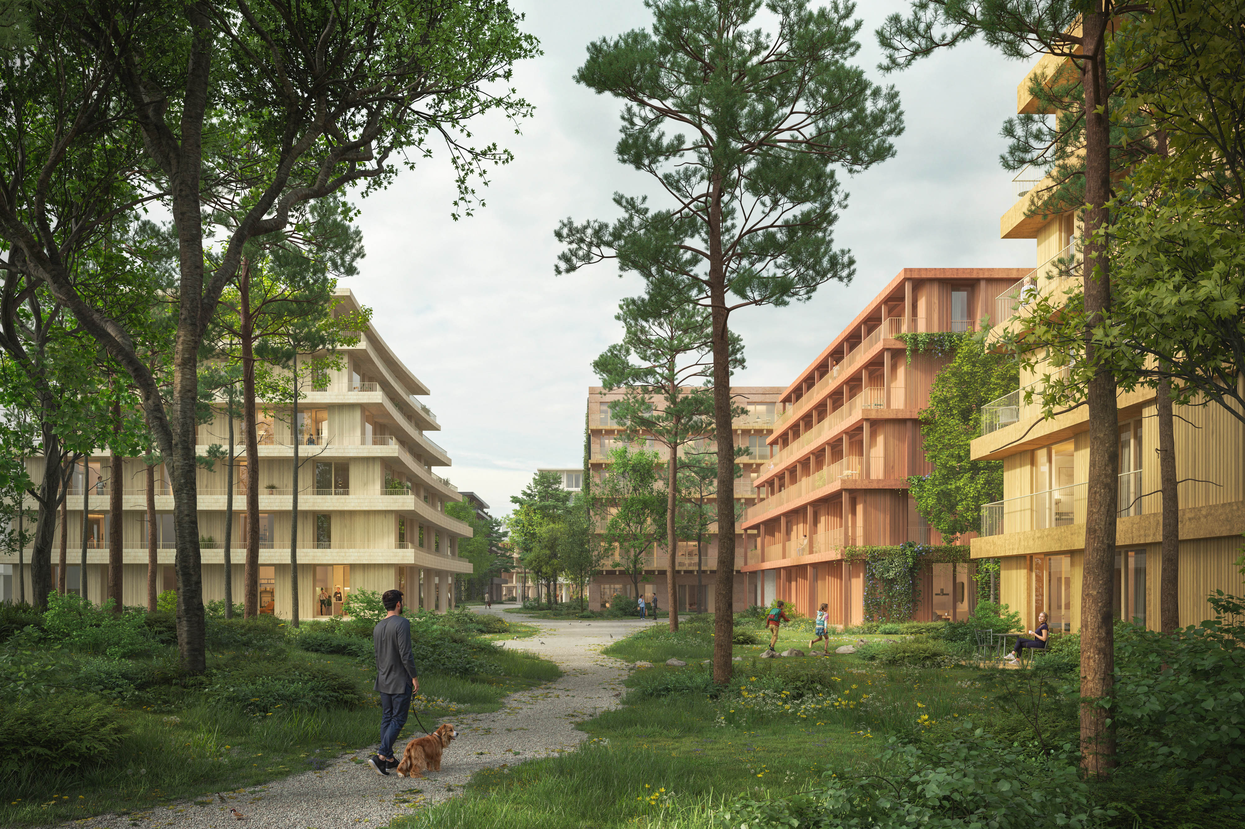 Morning render - Craibosch