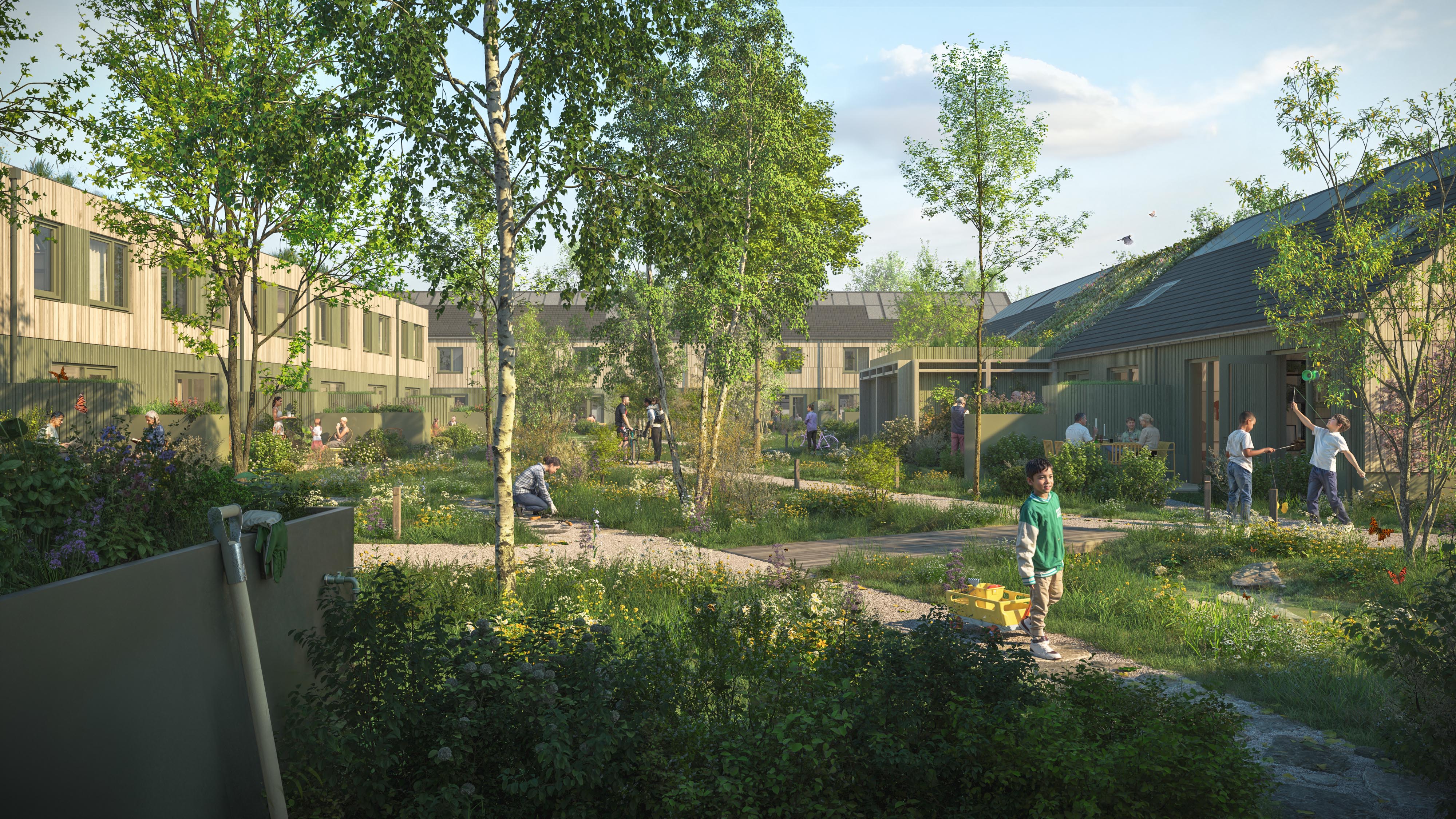 spring - Haarrijn renders