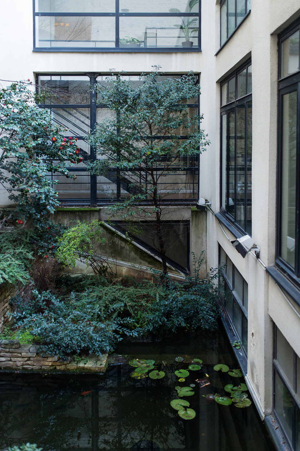 Bureaux contemporains, lignes épurées et lumière naturelle — Ever Road