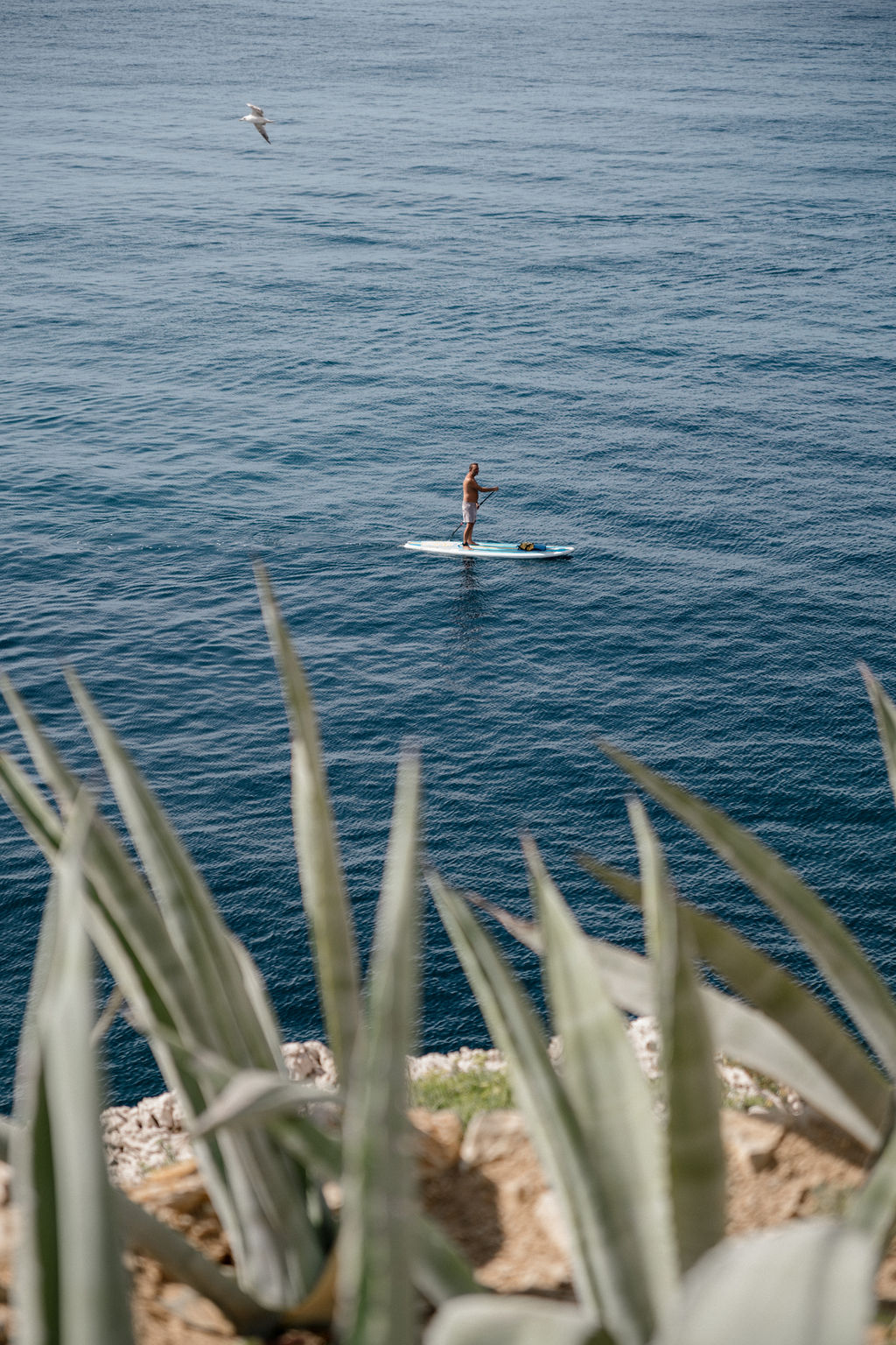 Open space moderne, volumes clairs et circulation fluide — bureaux de Les Roches Blanches (photographie d’architecture intérieure)