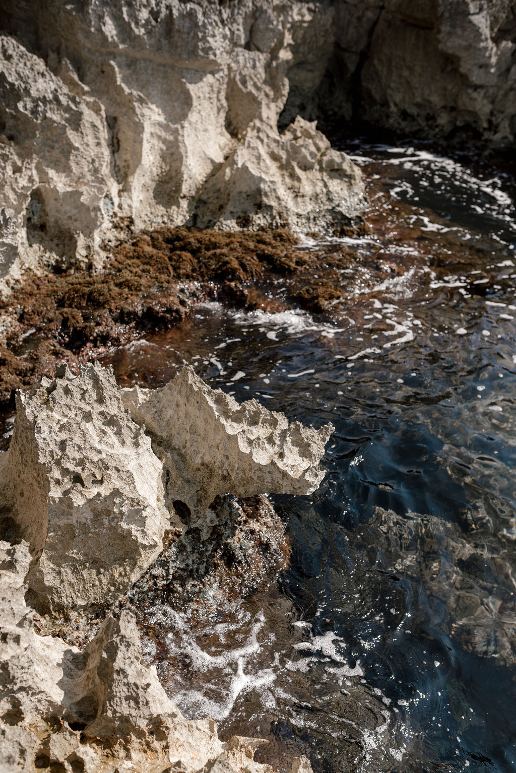 Open space moderne, volumes clairs et circulation fluide — bureaux de Les Roches Blanches (photographie d’architecture intérieure)