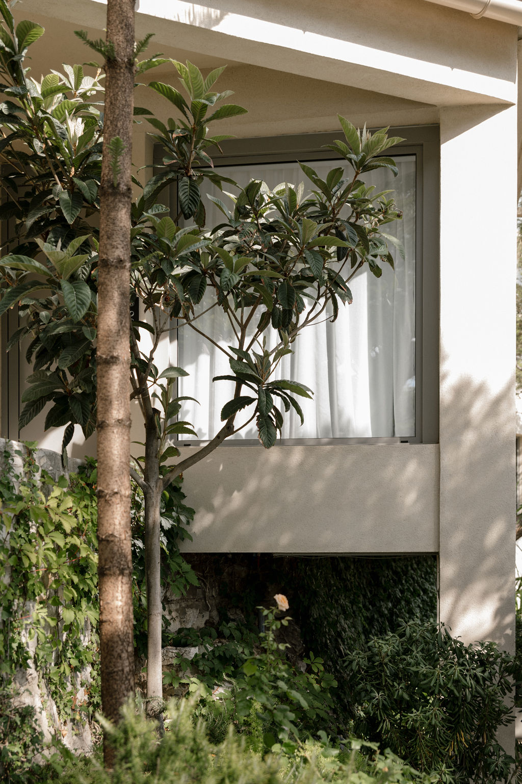 Open space moderne, volumes clairs et circulation fluide — bureaux de Les Roches Blanches (photographie d’architecture intérieure)