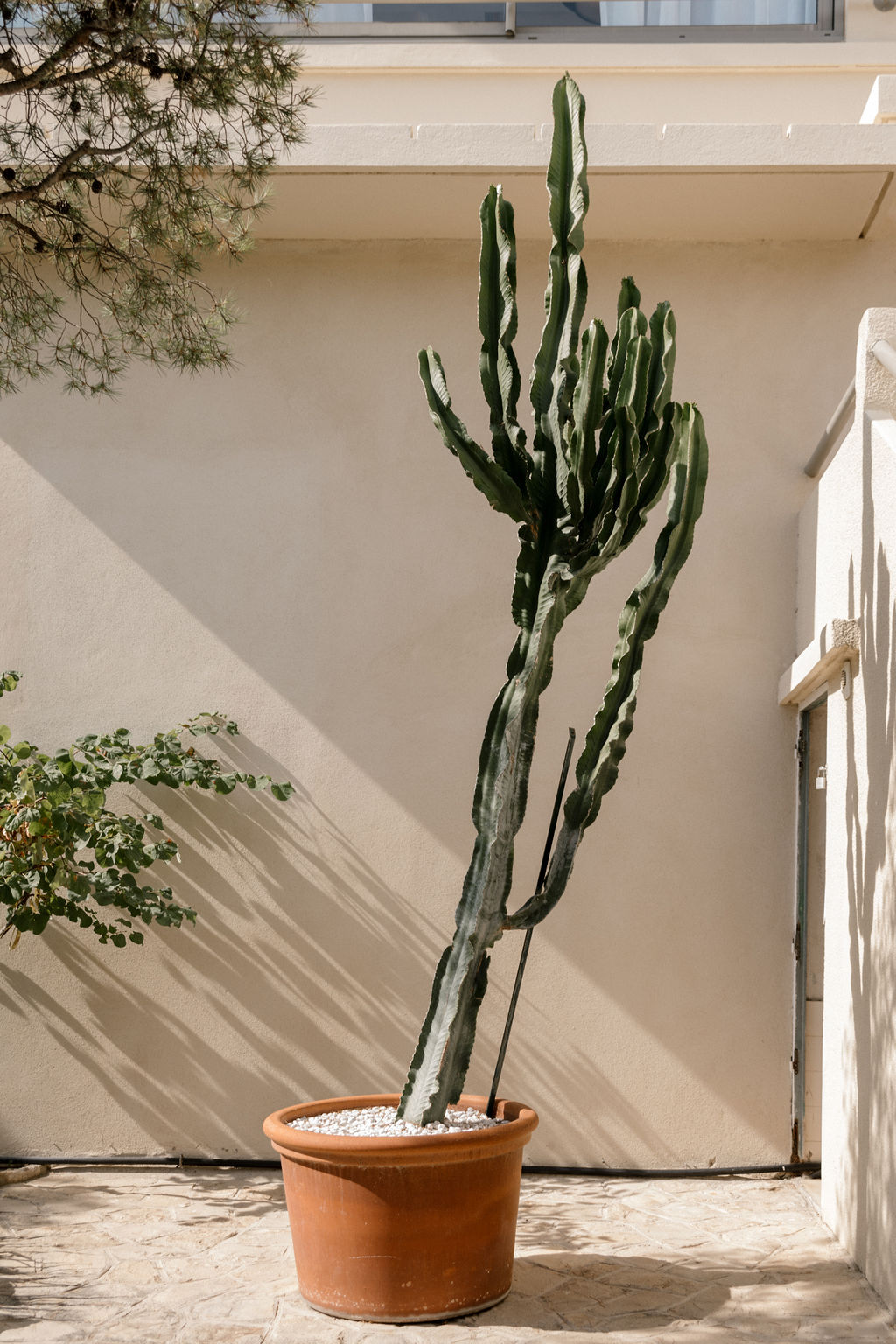 Open space moderne, volumes clairs et circulation fluide — bureaux de Les Roches Blanches (photographie d’architecture intérieure)