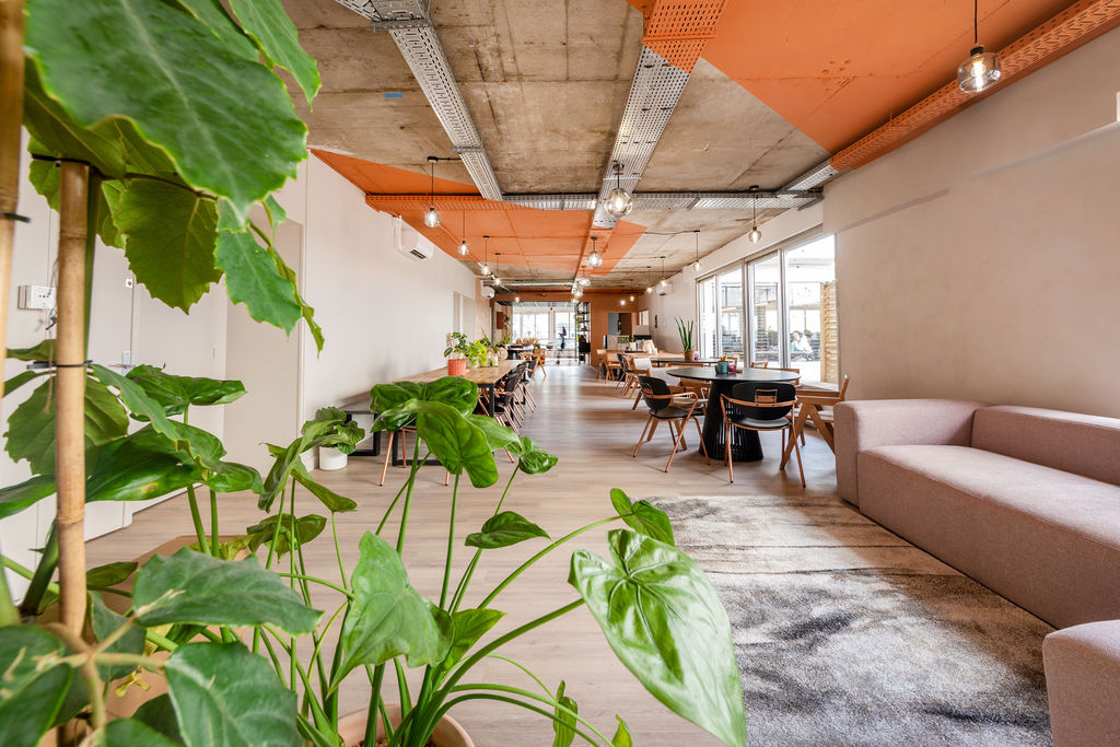 Aménagement de bureaux, perspectives et géométrie du lieu (photographie de bureaux)