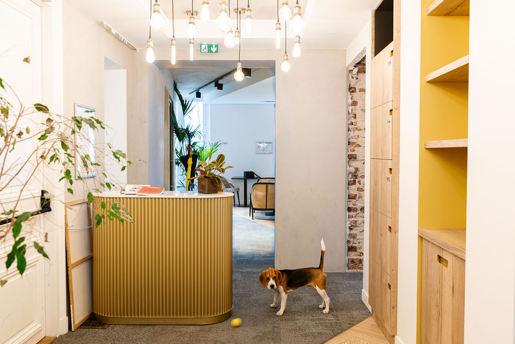 Bureaux contemporains, lignes épurées et lumière naturelle (photographie d’intérieur) — par Jonathan Moyal