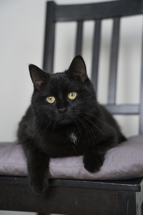 Осторожный, осмотрительный.