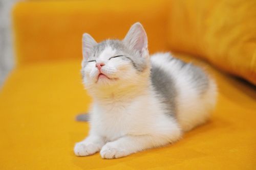 ураган любви, радости и безудержного веселья