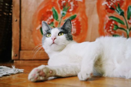 сдержанный романтик, теплый интроверт