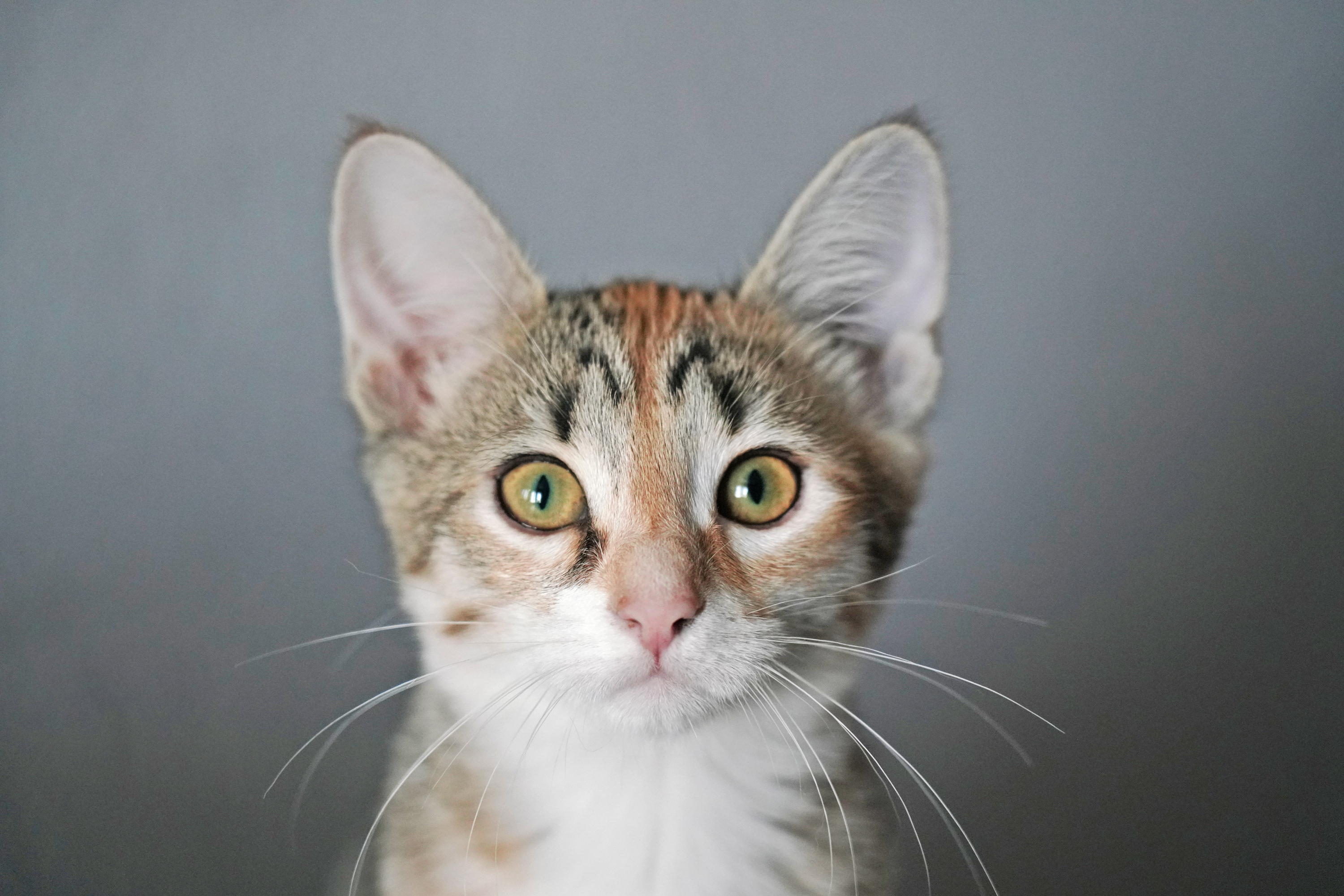 Тёплая, контактная, человекоориентированная