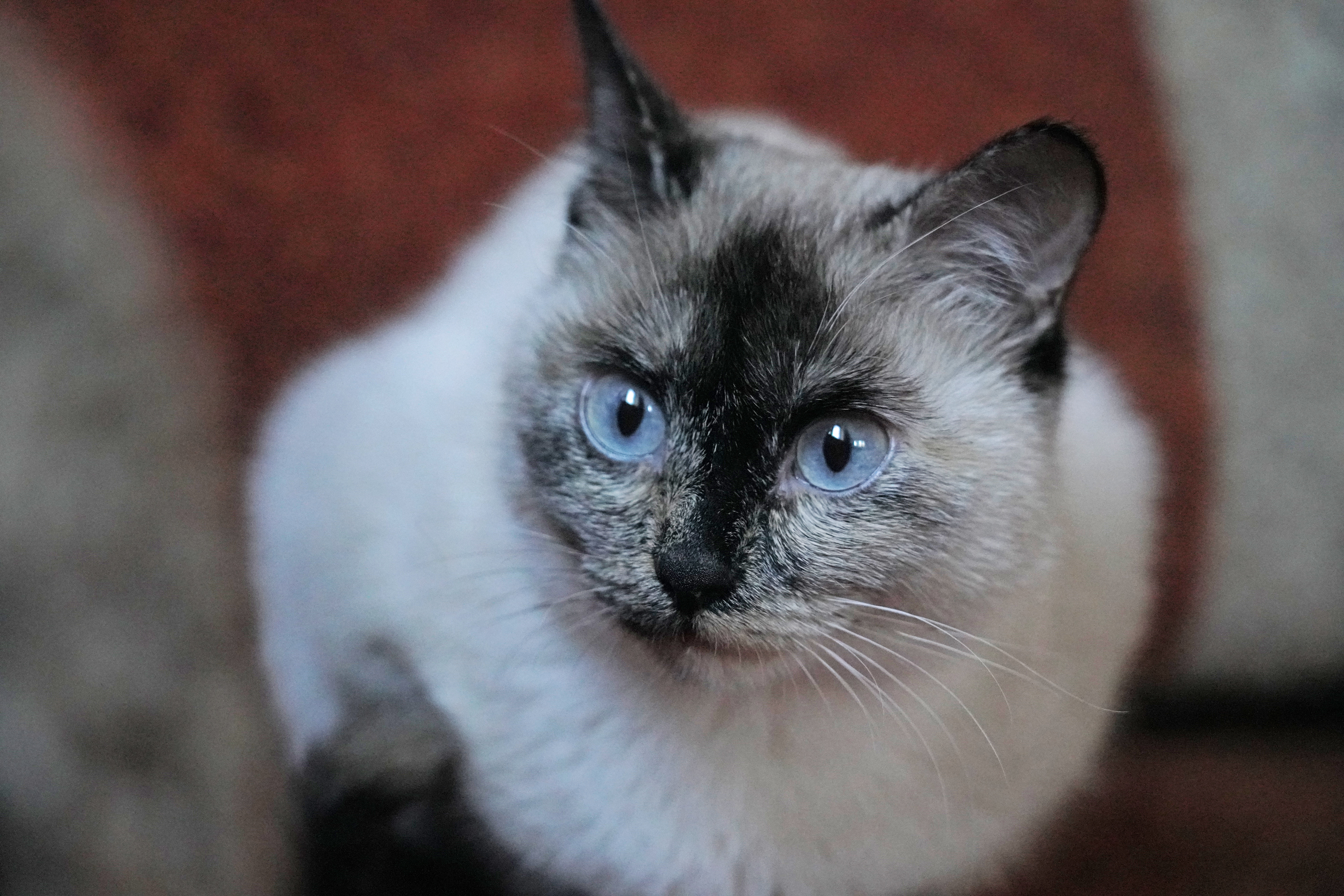 лупоглазый чудик-юдик