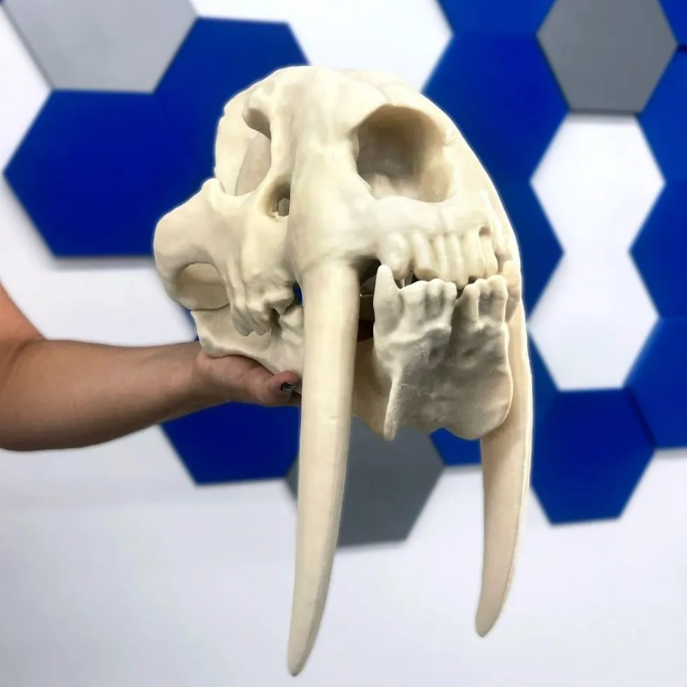 Sculpture and 3D-Printed Model 2