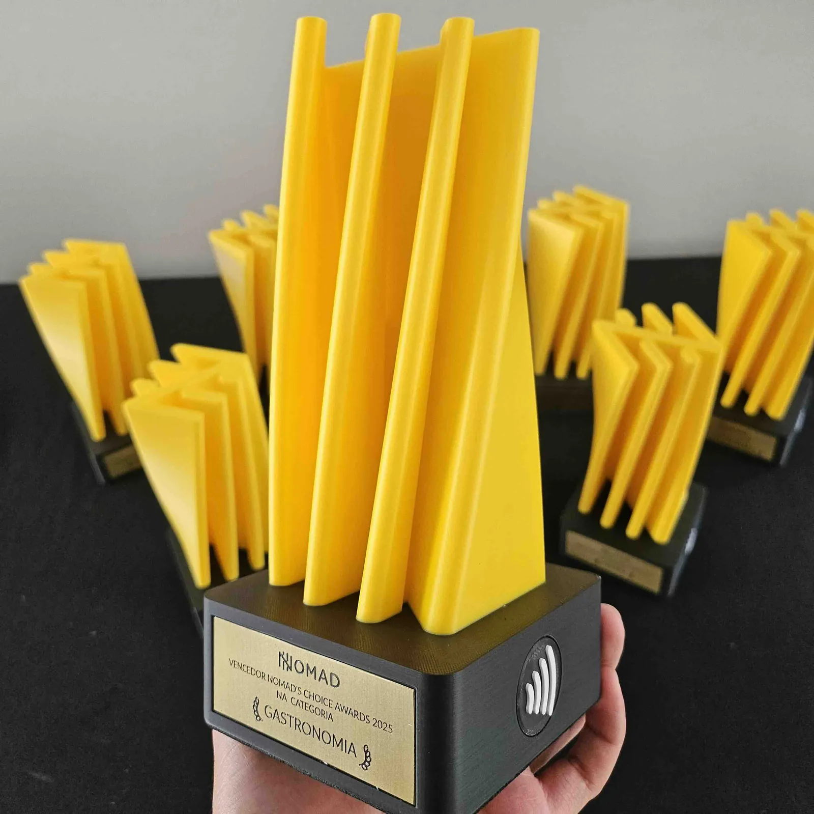 Trofeo y regalo personalizado impreso en 3D 13