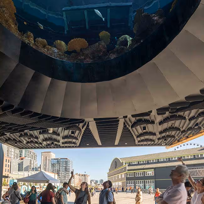 Seattle Aquarium Ocean Pavilion