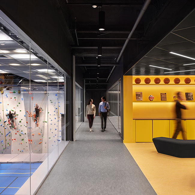 The Playground