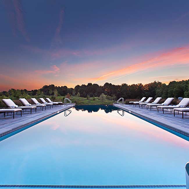 Salamander Middleburg