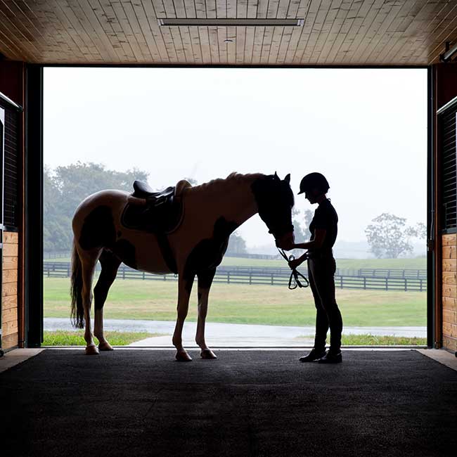 Salamander Middleburg