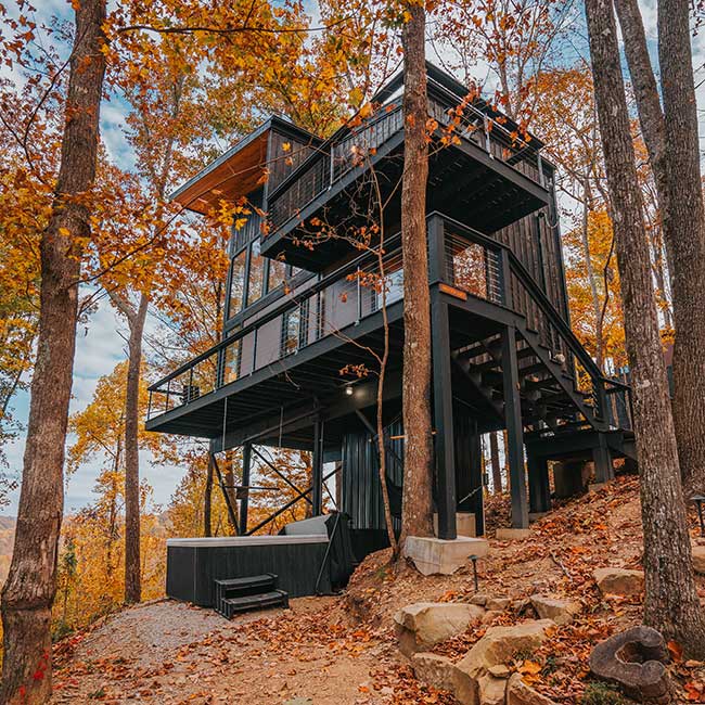 Tree Lofts of Tennessee