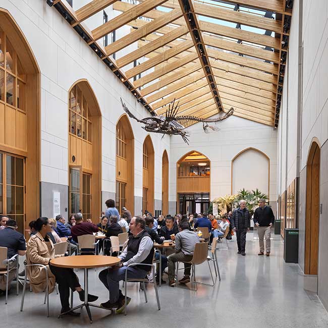 Yale Peabody Museum