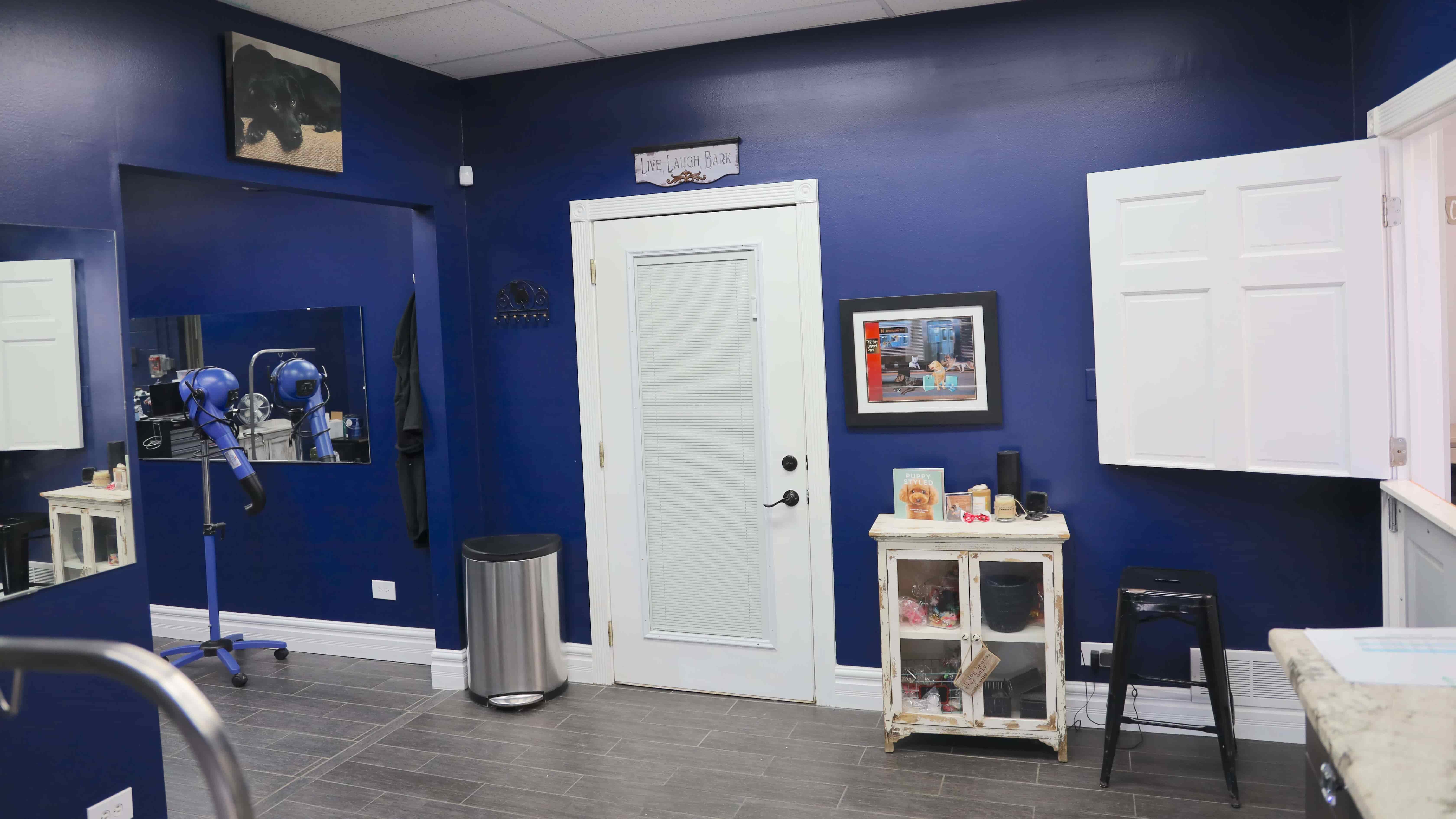 Downers Grove Dog Grooming Paws In Paradise