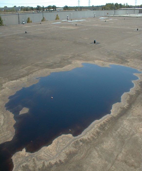 Ponding water on asphalt roof