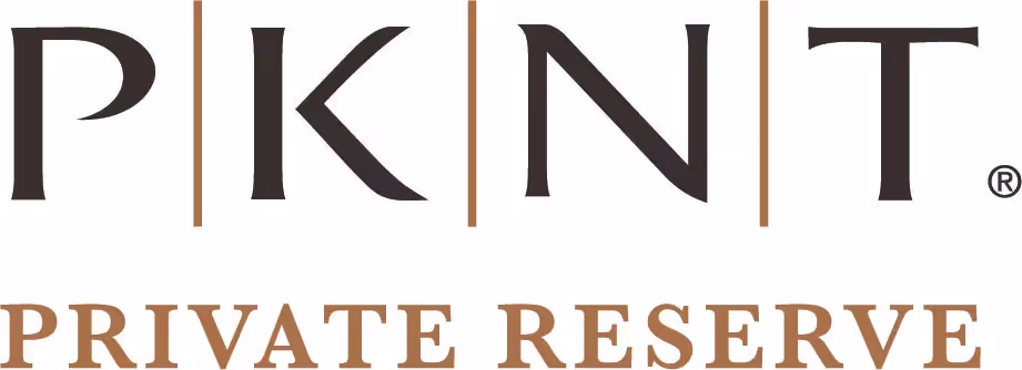 PKNT Logo preview