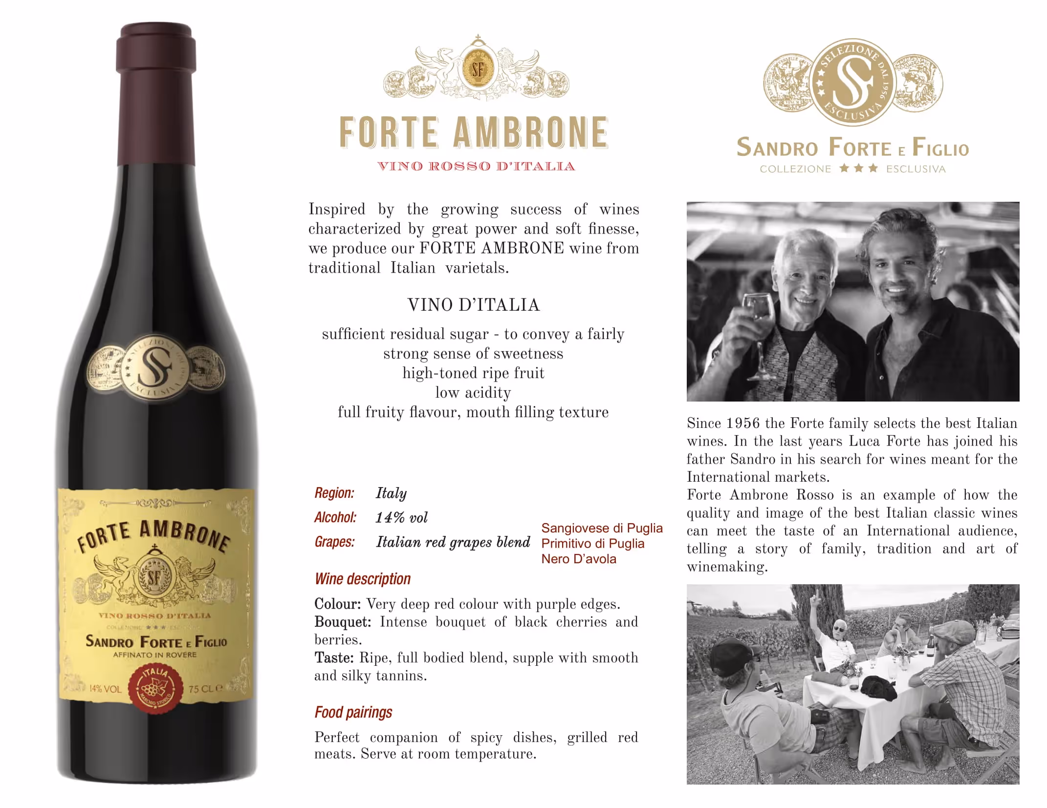 Forte Ambrone Red Wine Tech Sheets preview