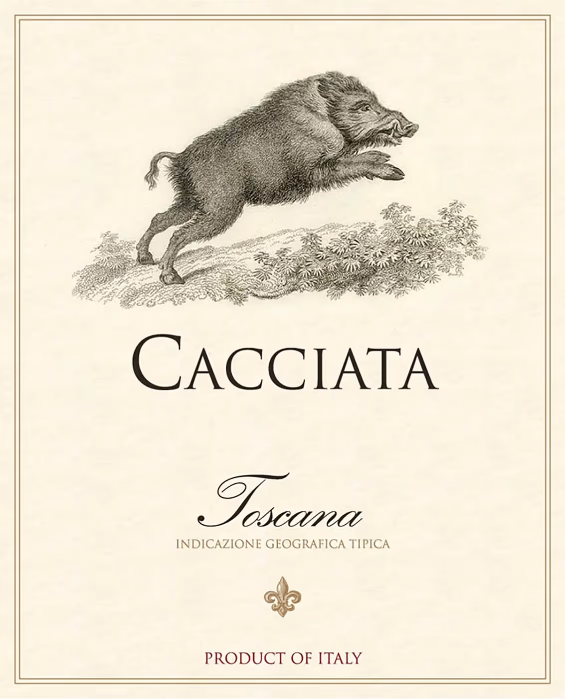 Cacciata Toscana Labels preview