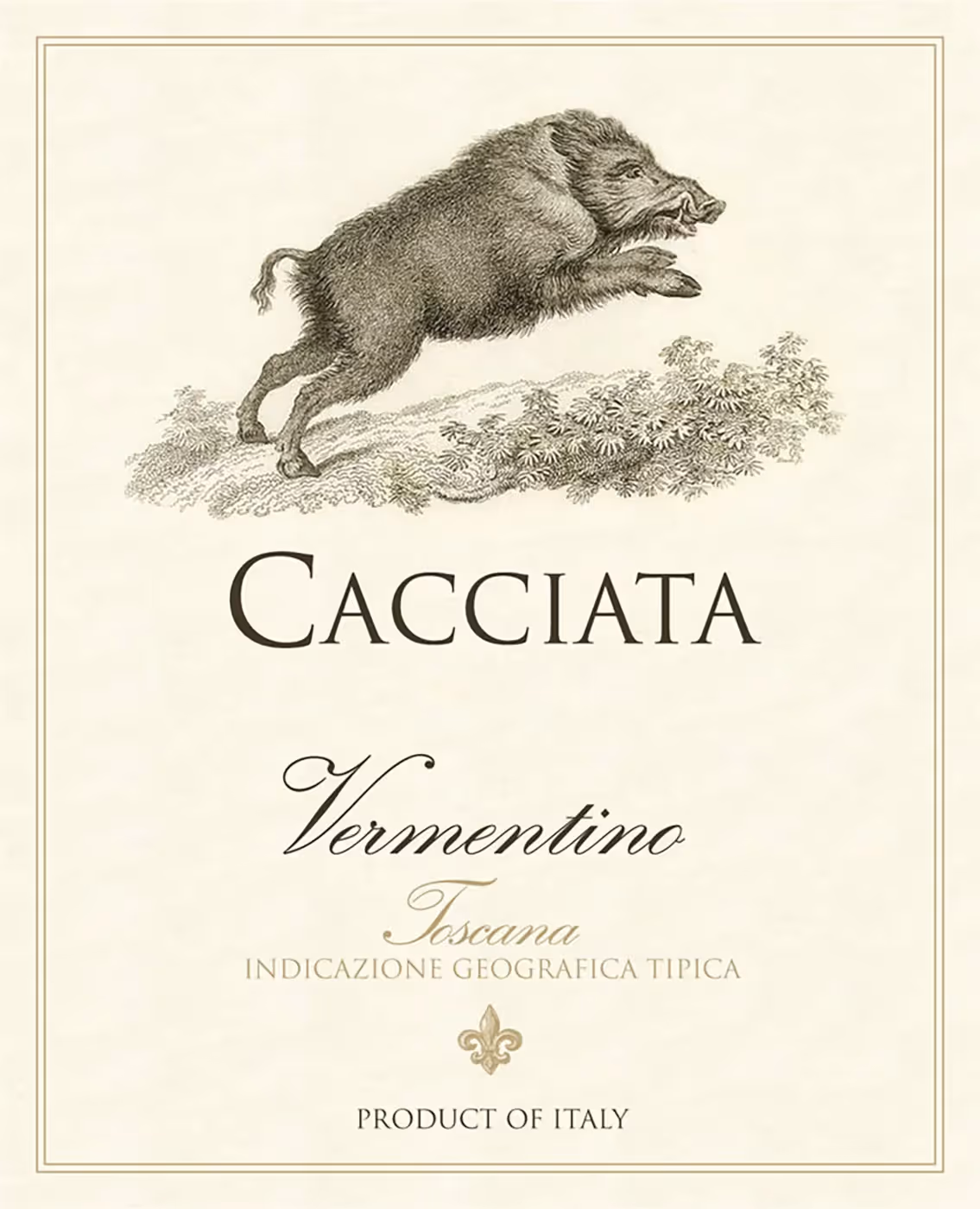 Cacciata Vermentino Labels preview