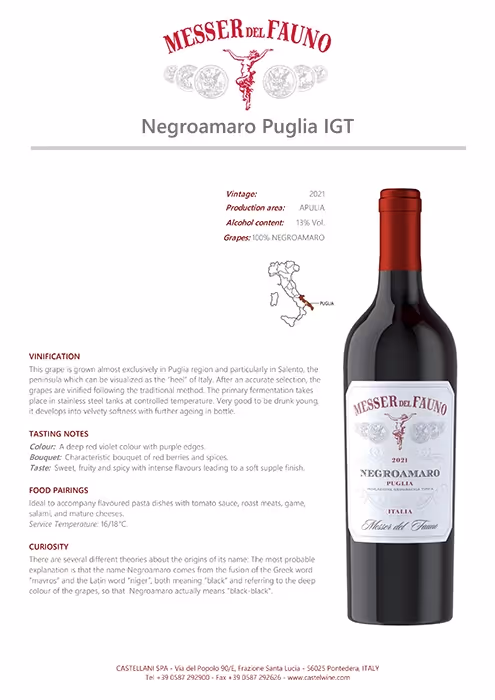 Messer del Fauno Negroamaro Tech Sheet preview
