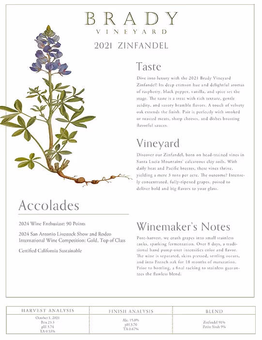 Brady Vineyards Zinfandel WE Accolade Tech Sheet preview