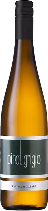 Cantina Caldero Pinot Grigio Product Shot preview