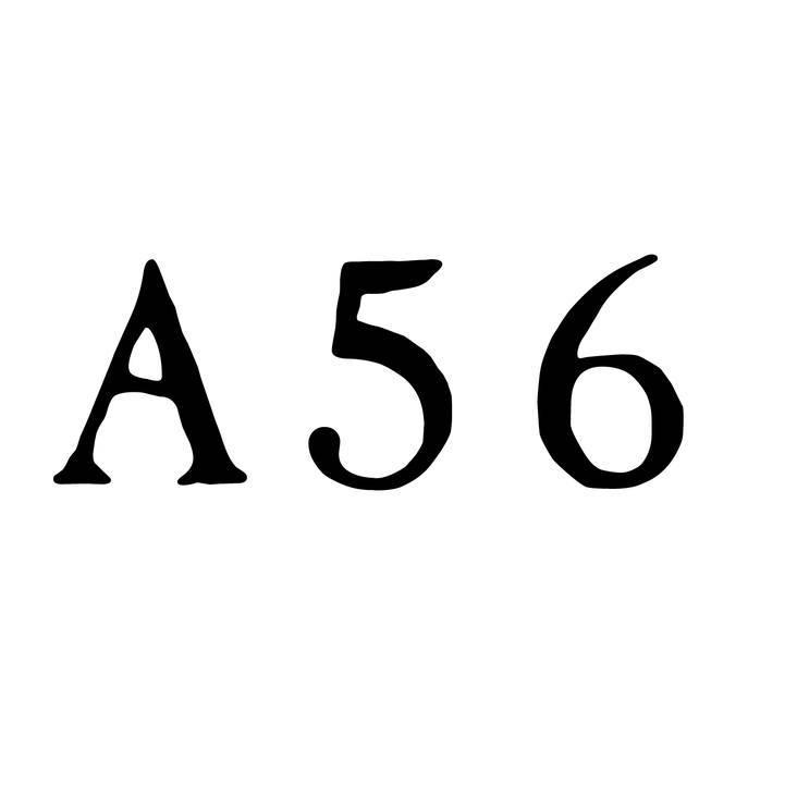 A56