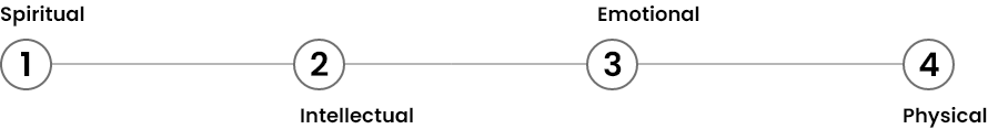An image showing the process in horizontal format