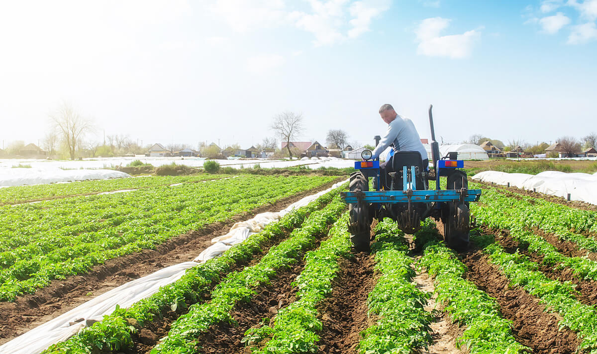 farmer on a tractor looking at crops