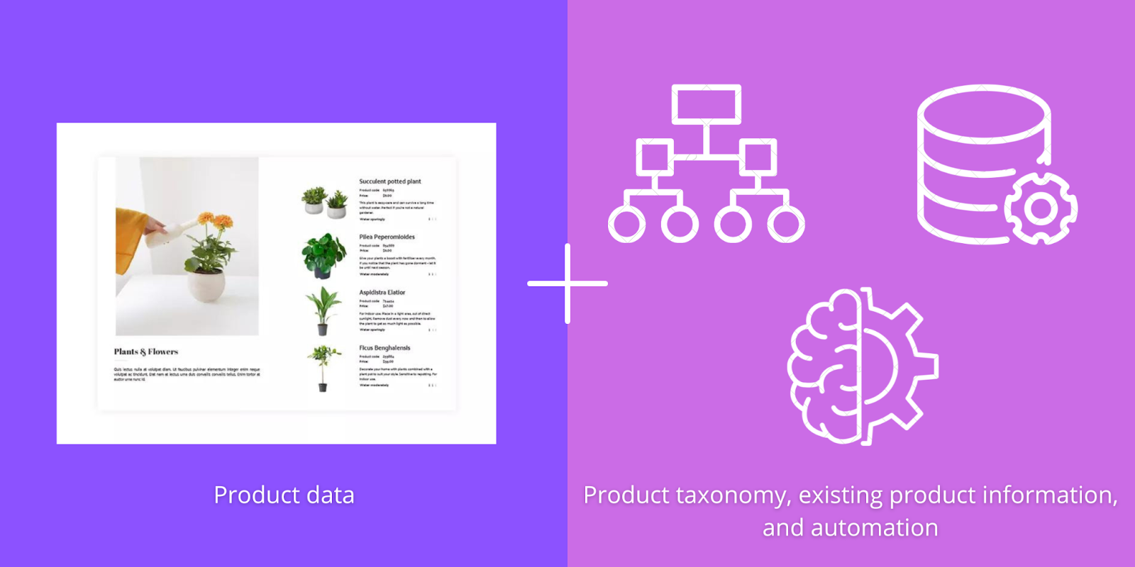 what is product catalog optimization?