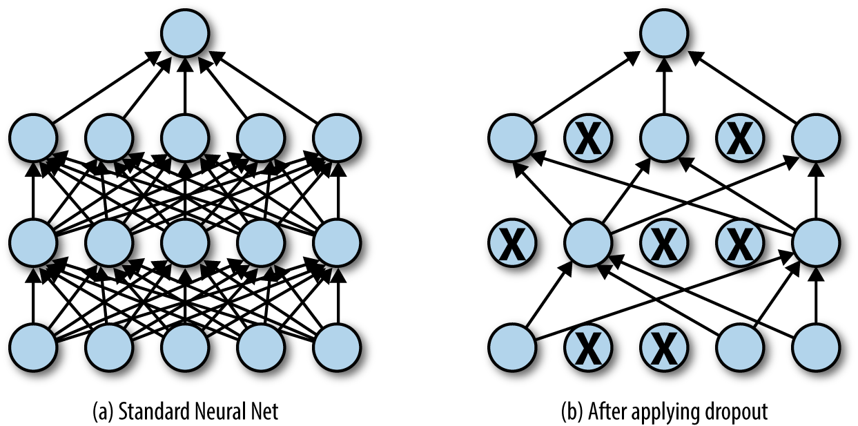 dropout layer applied to a standard neural net
