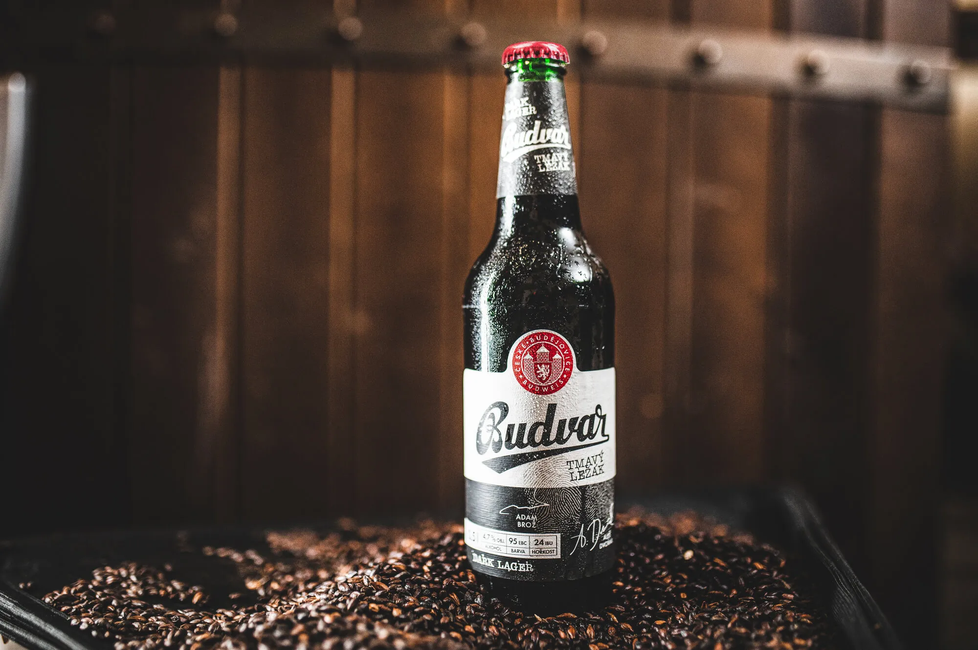 Budvar Tmavy lezak