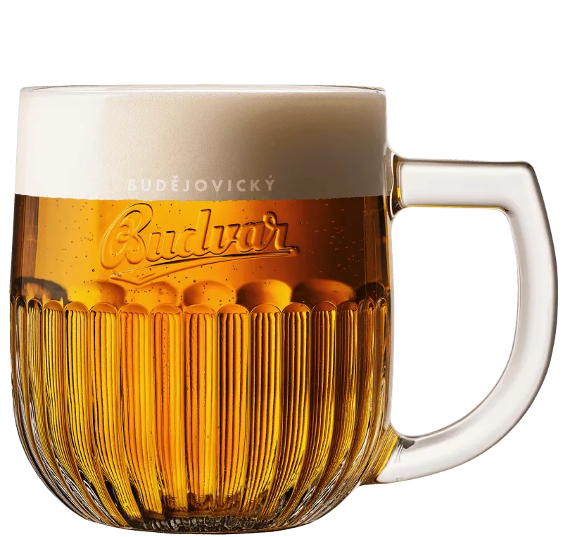 Budvar Redix
