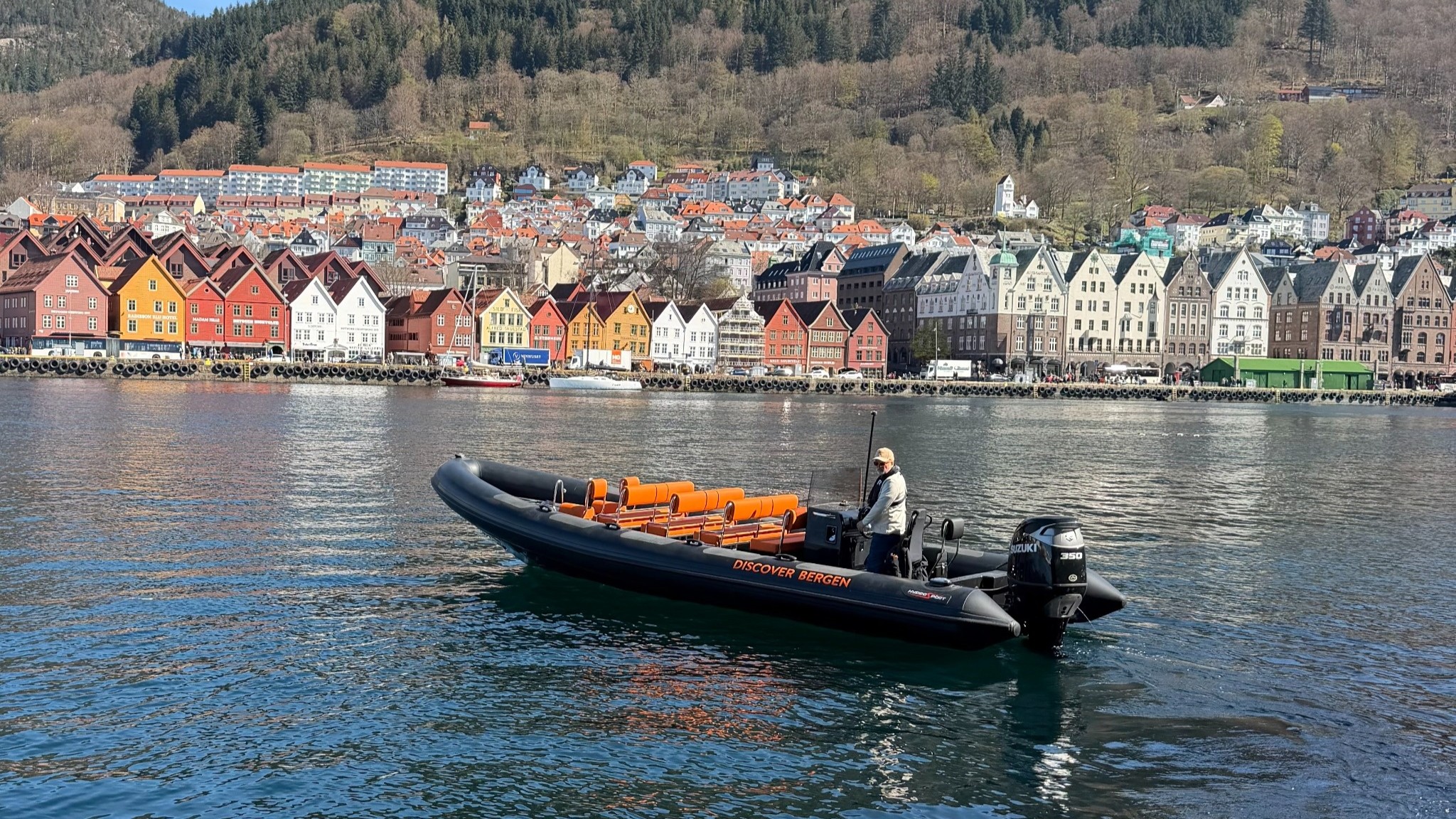 RIB