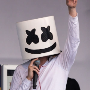 Marshmello live in concert.
