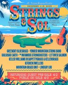 Strings & Sol 2025 lineup poster.