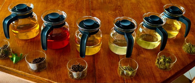 TasteOverTIme- Global Chronicles- Teatime in India